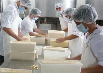El Gobierno eliminó el Registro de Operadores Lácteos y derogó normas vigentes desde 2006