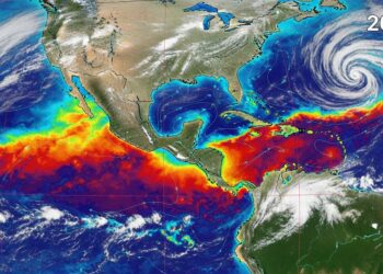El Niño vuelve al radar y obliga a planificar: las claves para reducir riesgos en el campo