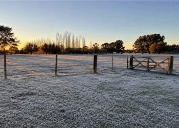Ingreso de aire polar y riesgo de heladas en el campo