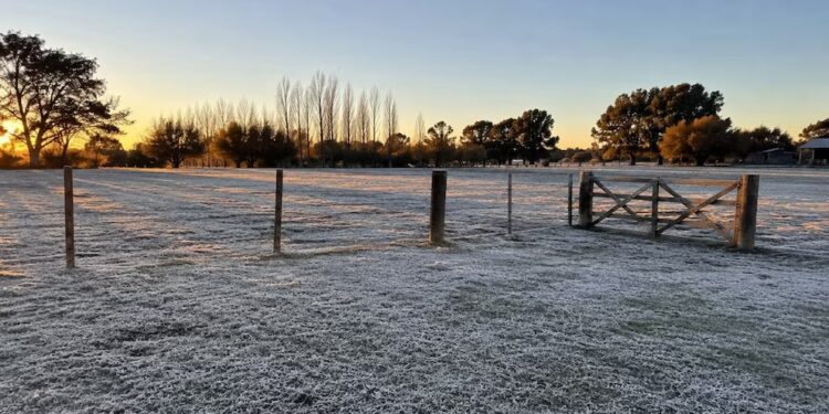 Ingreso de aire polar y riesgo de heladas en el campo