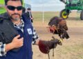 Chau palomas y cotorras: el ave que busca ser un socio estratégico del productor para el control de plagas y un criadero único en Santa Fe