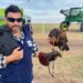 Chau palomas y cotorras: el ave que busca ser un socio estratégico del productor para el control de plagas y un criadero único en Santa Fe