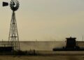 El agro sostuvo el crecimiento del PIB pese al freno inversor