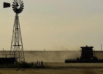 El agro sostuvo el crecimiento del PIB pese al freno inversor
