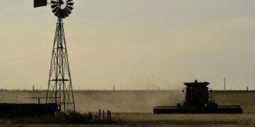 El agro sostuvo el crecimiento del PIB pese al freno inversor