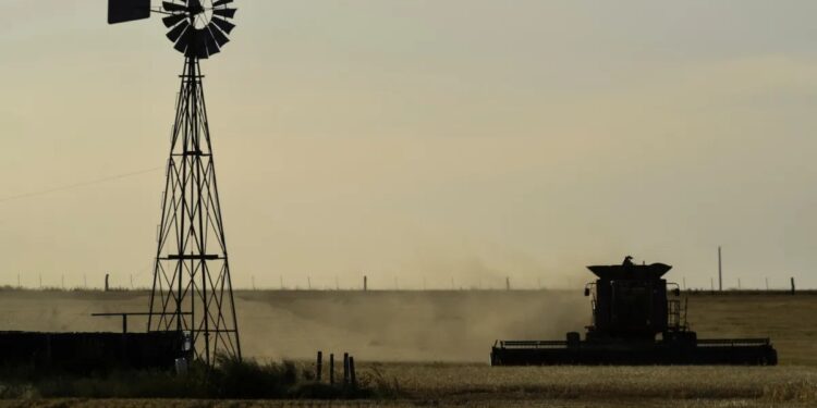 El agro sostuvo el crecimiento del PIB pese al freno inversor