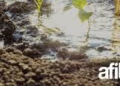 Elegir el Norte: la apuesta de una nueva generación para estar cerca del productor