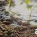Elegir el Norte: la apuesta de una nueva generación para estar cerca del productor