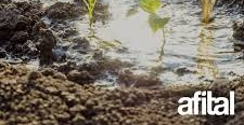 Elegir el Norte: la apuesta de una nueva generación para estar cerca del productor