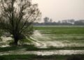 Hay fuertes cambios en la atmósfera en respuesta a El Niño y se vienen las lluvias