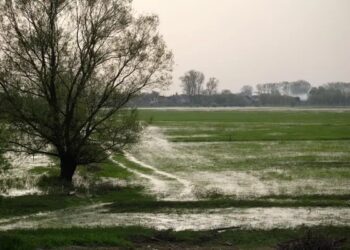Hay fuertes cambios en la atmósfera en respuesta a El Niño y se vienen las lluvias