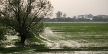 Hay fuertes cambios en la atmósfera en respuesta a El Niño y se vienen las lluvias