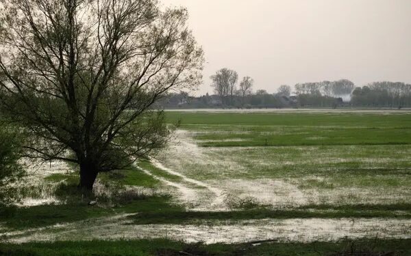 Hay fuertes cambios en la atmósfera en respuesta a El Niño y se vienen las lluvias
