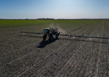 Un vacío legal que limita al campo: el Congreso busca una salida al laberinto de regulaciones sobre fitosanitarios