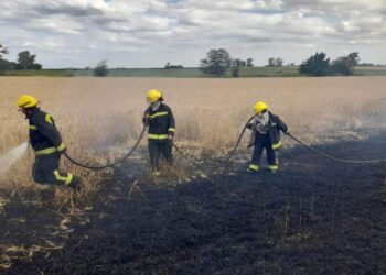 Fuego contra fuego: comienza la temporada de incendios y recomiendan la “quema prescripta” para combatirlos