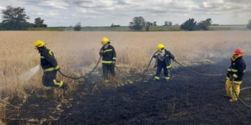 Fuego contra fuego: comienza la temporada de incendios y recomiendan la “quema prescripta” para combatirlos