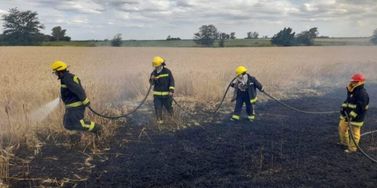 Fuego contra fuego: comienza la temporada de incendios y recomiendan la “quema prescripta” para combatirlos