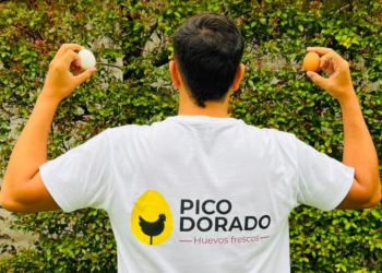 Premios Jóvenes FET: el reconocimiento a una nueva generación que apuesta por emprender