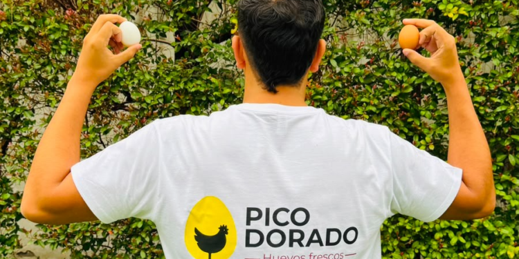 Premios Jóvenes FET: el reconocimiento a una nueva generación que apuesta por emprender
