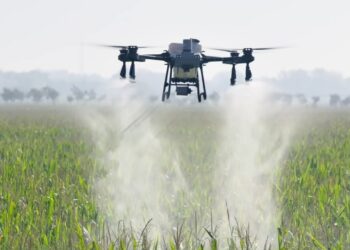 DJI amplía su línea de drones agrícolas: Tecnoagro anticipa la llegada de los nuevos Agras T25, T55 y T100 Doble Batería al NOA