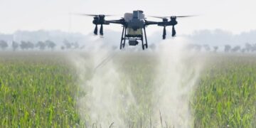 DJI amplía su línea de drones agrícolas: Tecnoagro anticipa la llegada de los nuevos Agras T25, T55 y T100 Doble Batería al NOA