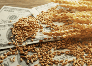 Radiografía exportadora: más de la mitad de las cadenas del agro crecen tanto en valor como en volumen