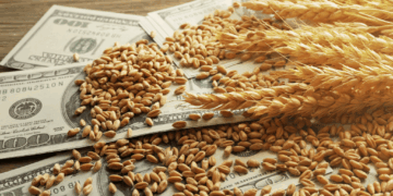 Radiografía exportadora: más de la mitad de las cadenas del agro crecen tanto en valor como en volumen