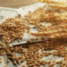 Radiografía exportadora: más de la mitad de las cadenas del agro crecen tanto en valor como en volumen