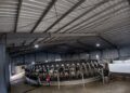 La producción mundial de leche consolida su recuperación