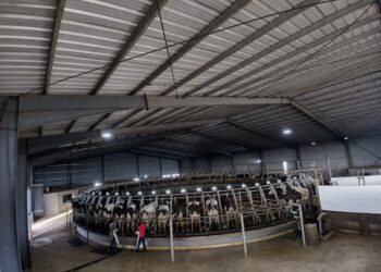 La producción mundial de leche consolida su recuperación