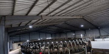 La producción mundial de leche consolida su recuperación