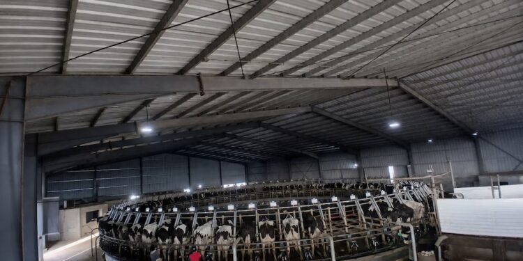 La producción mundial de leche consolida su recuperación