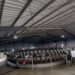 La producción mundial de leche consolida su recuperación