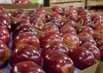 Menos trámites para el campo: el Gobierno eliminó ocho regulaciones