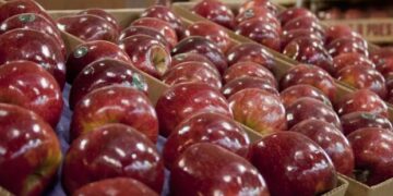 Menos trámites para el campo: el Gobierno eliminó ocho regulaciones
