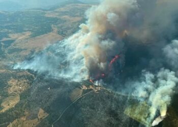 Los incendios forestales en España y Francia golpean de lleno al campo
