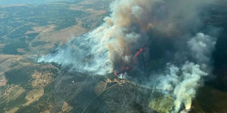 Los incendios forestales en España y Francia golpean de lleno al campo