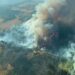 Los incendios forestales en España y Francia golpean de lleno al campo