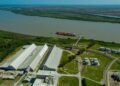 El campo ingresó más dólares: se liquidaron US$ 3000 millones en junio
