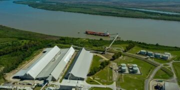 El campo ingresó más dólares: se liquidaron US$ 3000 millones en junio