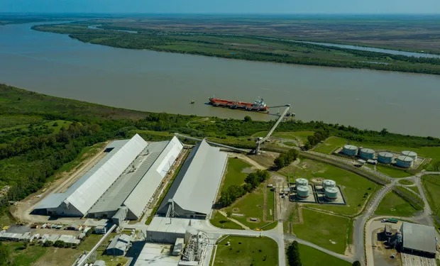 El campo ingresó más dólares: se liquidaron US$ 3000 millones en junio