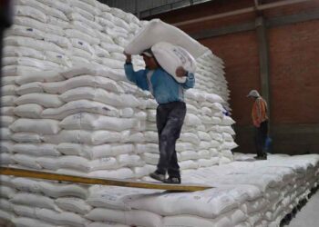 Bolivia vuelve a impulsar las exportaciones de harina argentina y abre una nueva oportunidad para la cadena triguera