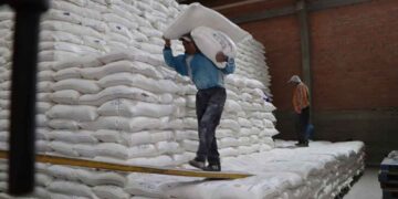 Bolivia vuelve a impulsar las exportaciones de harina argentina y abre una nueva oportunidad para la cadena triguera