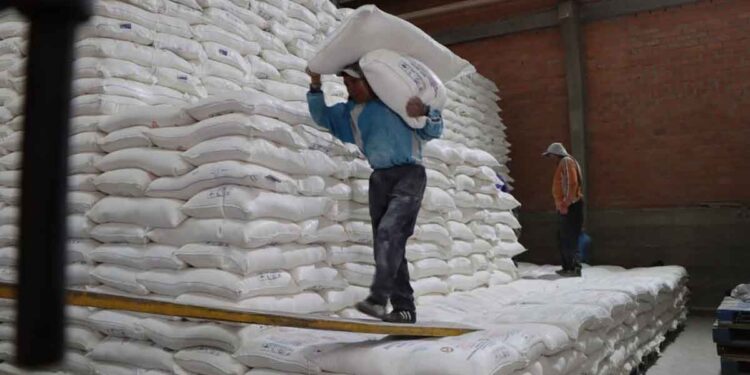 Bolivia vuelve a impulsar las exportaciones de harina argentina y abre una nueva oportunidad para la cadena triguera