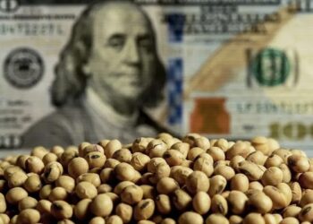 Los granos se afirmaron pese a la tensión internacional