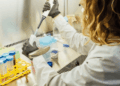 Biotecnología: aprueban un nuevo marco regulatorio para microorganismos genéticamente modificados