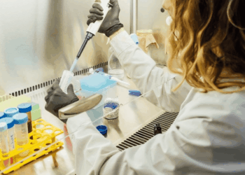 Biotecnología: aprueban un nuevo marco regulatorio para microorganismos genéticamente modificados