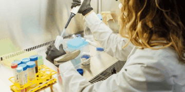 Biotecnología: aprueban un nuevo marco regulatorio para microorganismos genéticamente modificados