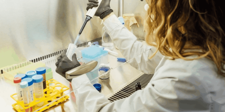 Biotecnología: aprueban un nuevo marco regulatorio para microorganismos genéticamente modificados
