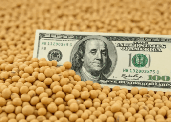 En el primer semestre, los granos aportaron U$S 13.378 millones: una baja del 13% en la liquidación